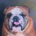 Portrait of a Champion